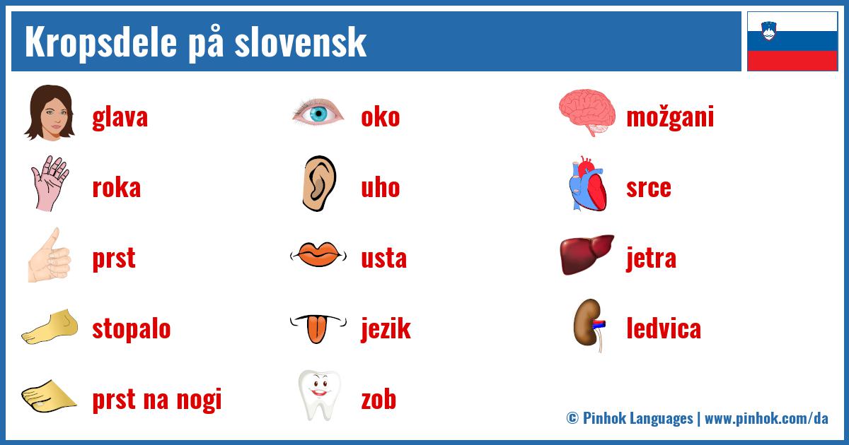 Kropsdele på slovensk