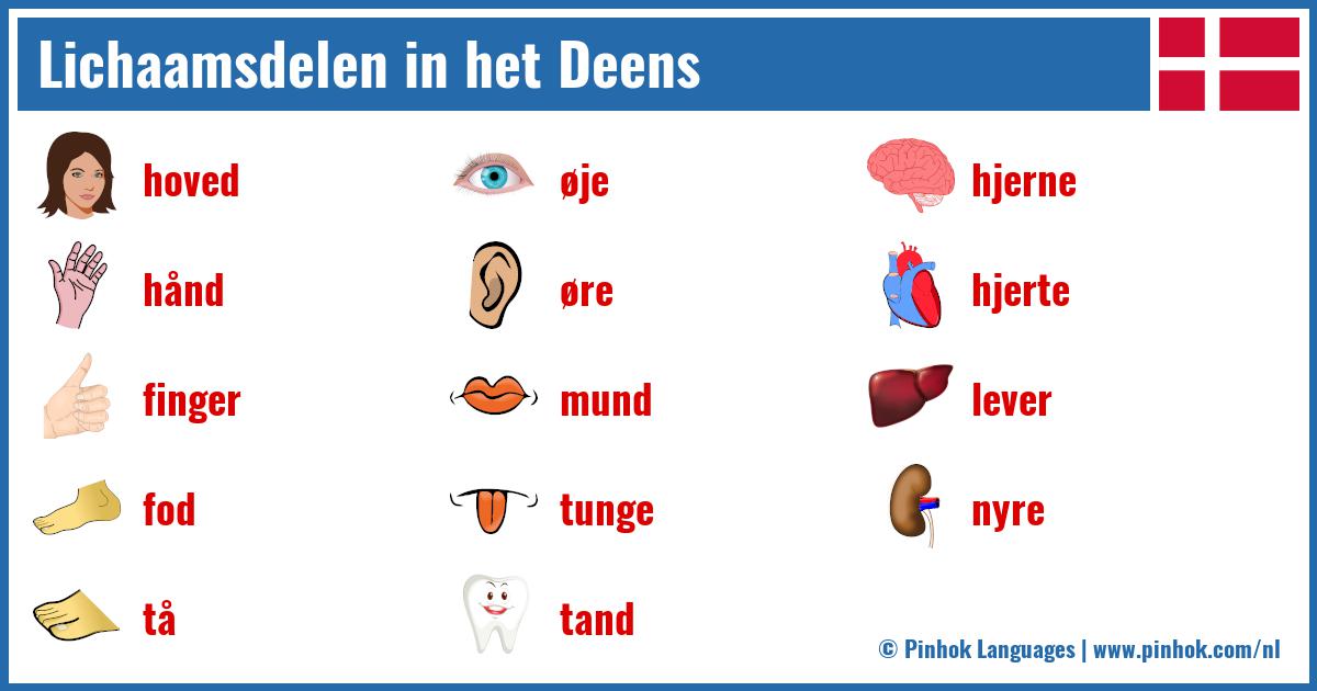 Lichaamsdelen in het Deens