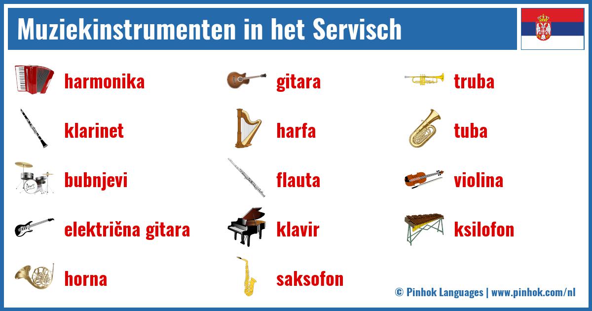 Muziekinstrumenten in het Servisch