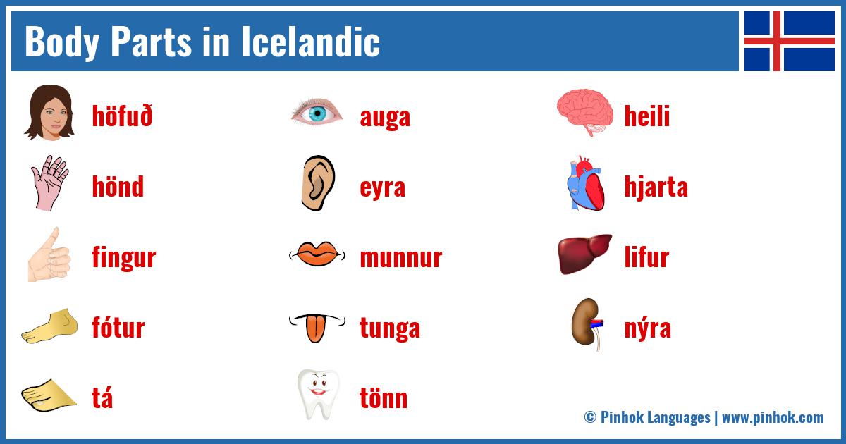 Body Parts in Icelandic