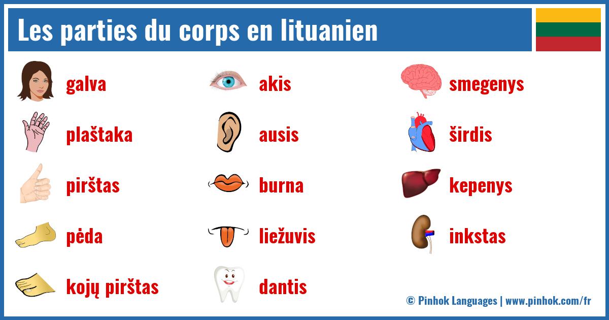 Les parties du corps en lituanien