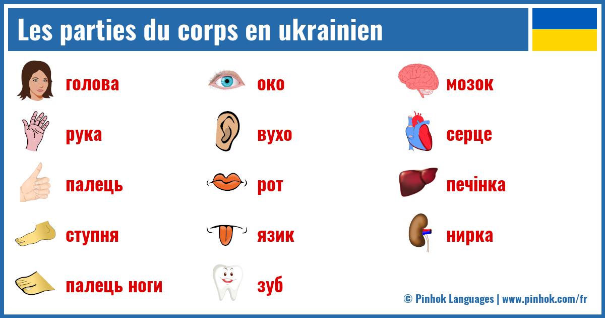 Les parties du corps en ukrainien