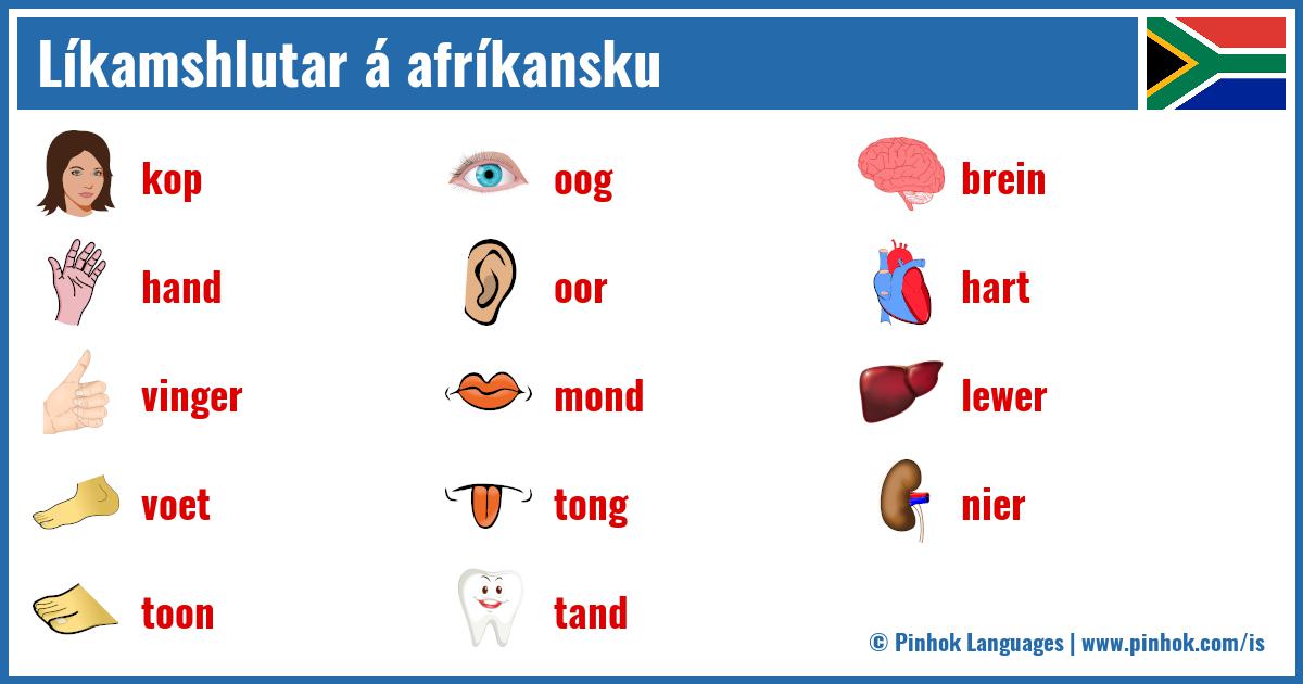 Líkamshlutar á afríkansku