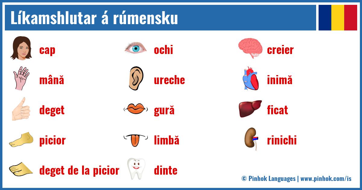 Líkamshlutar á rúmensku