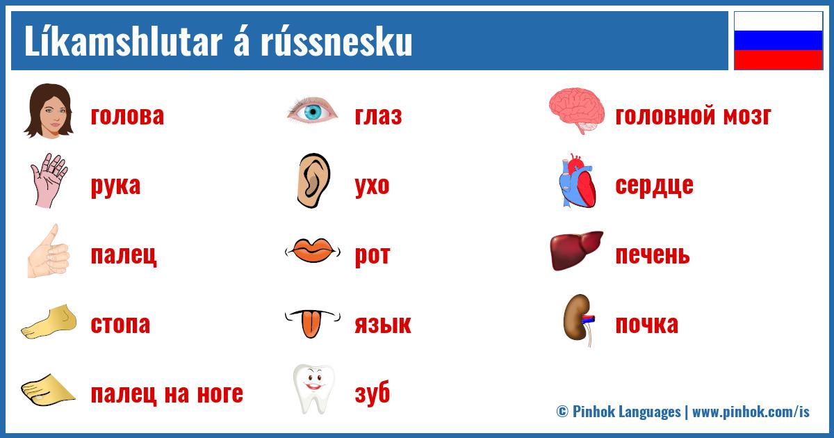 Líkamshlutar á rússnesku