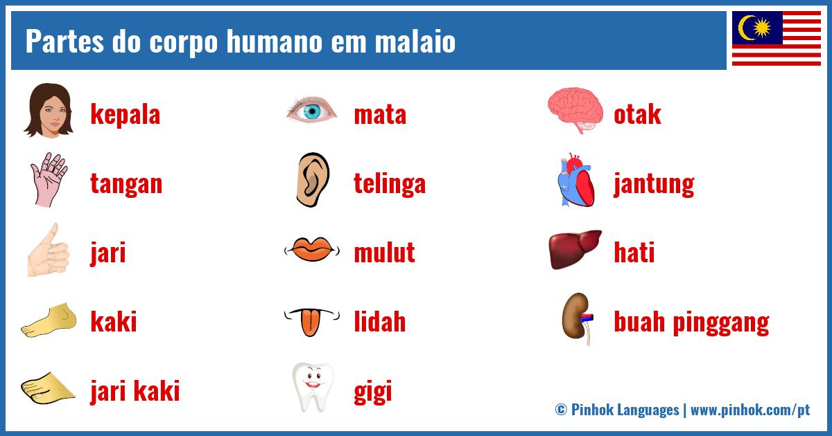 Partes do corpo humano em malaio