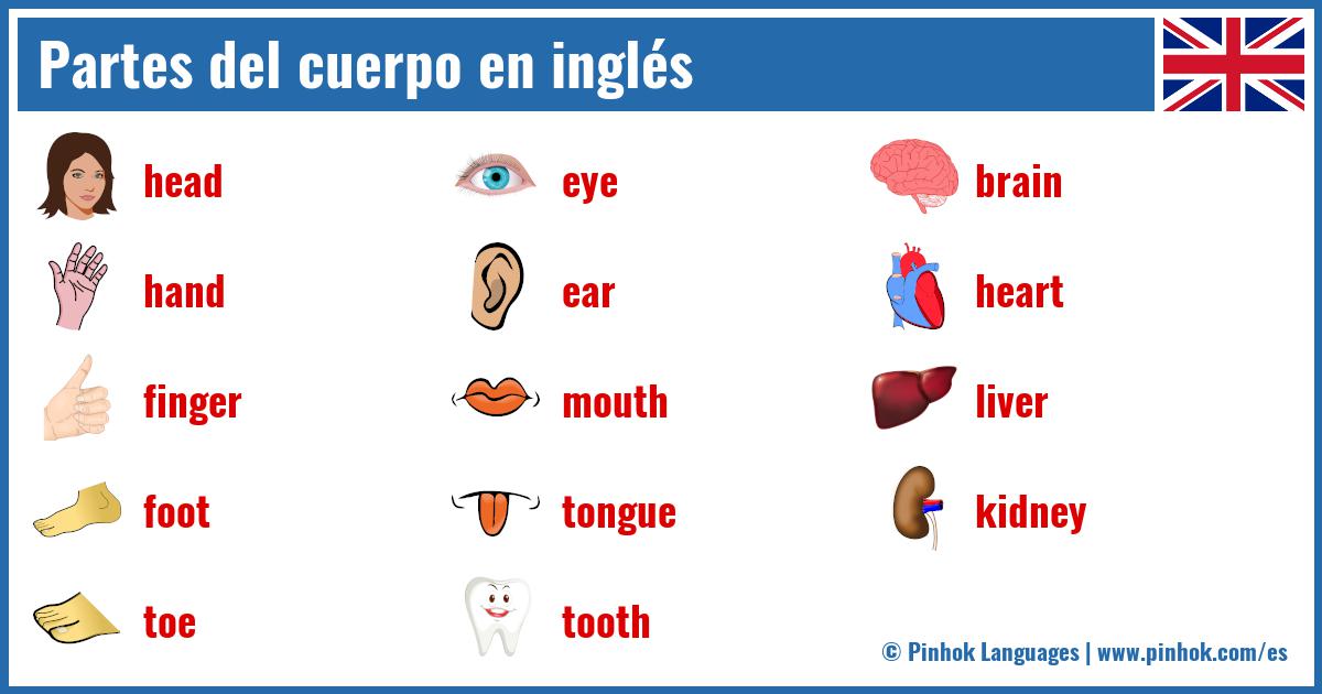 Partes del cuerpo en inglés