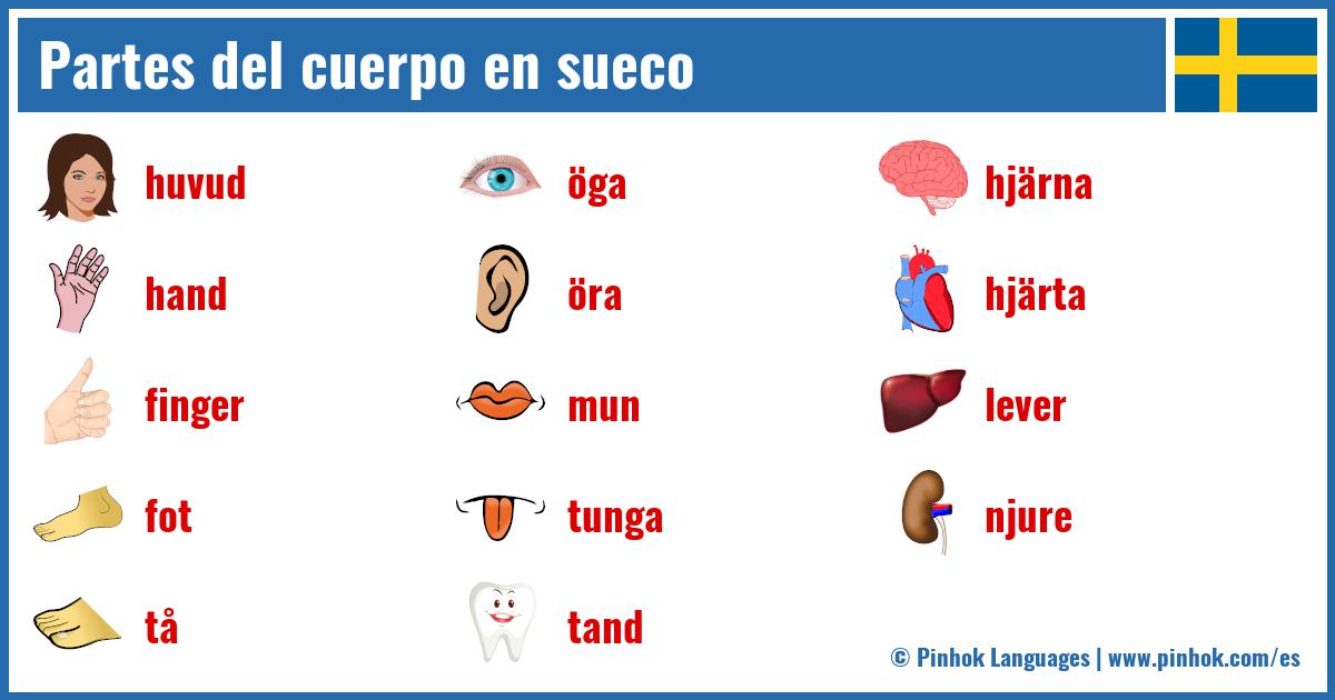 Partes del cuerpo en sueco