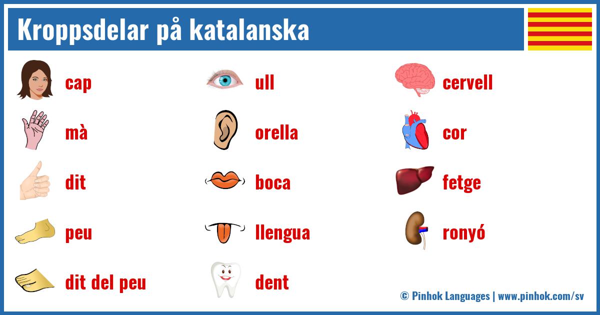 Kroppsdelar på katalanska