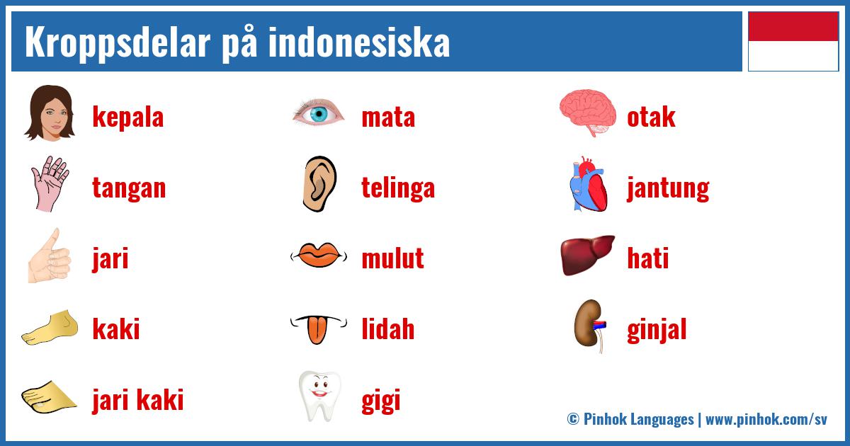 Kroppsdelar på indonesiska