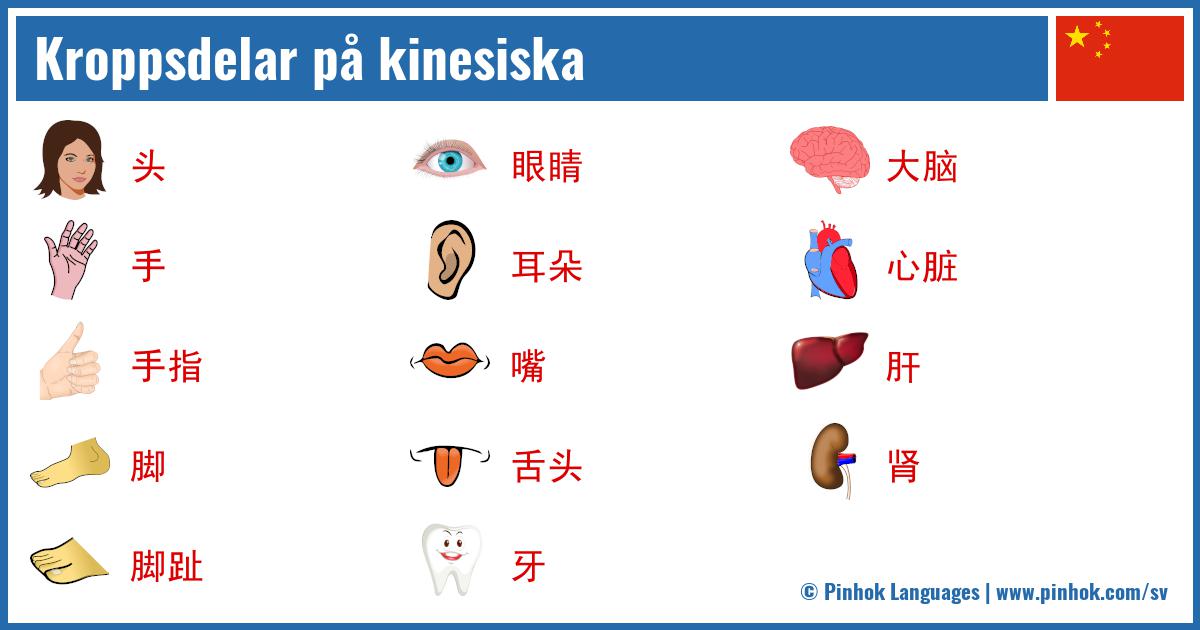 Kroppsdelar på kinesiska