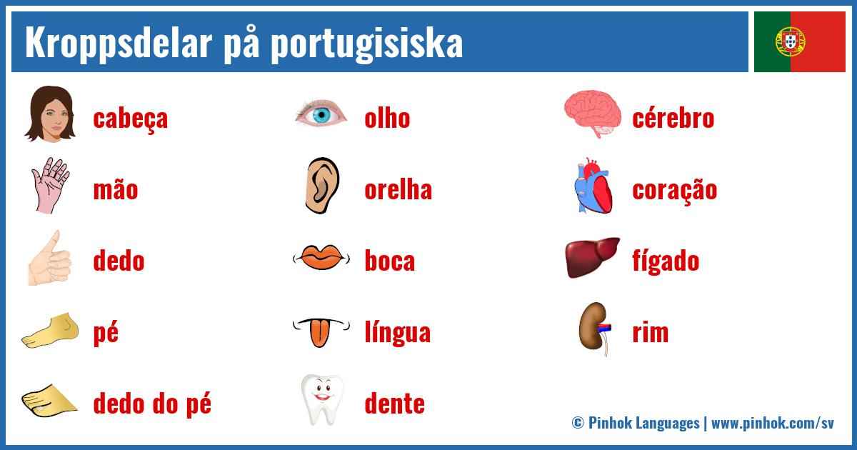 Kroppsdelar på portugisiska